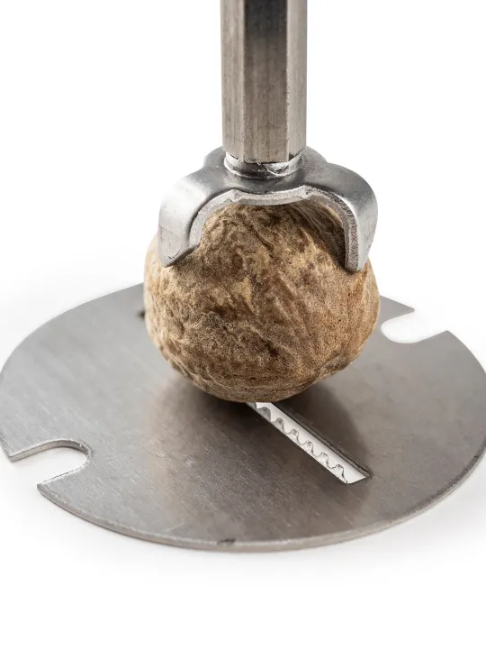 Outlet Madras Manual nutmeg mill in wood with magnetic cover, 15cm Speciality Spice Mills