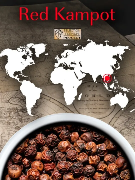 Clearance Multipack poivres premium Pack 3 peppers of origin and 1 exclusive blend Pepper | Speciality Seasoning